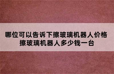 哪位可以告诉下擦玻璃机器人价格 擦玻璃机器人多少钱一台